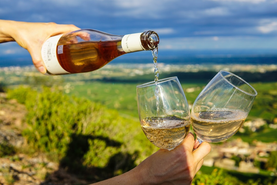 Discover the Delight of Saldo Wine